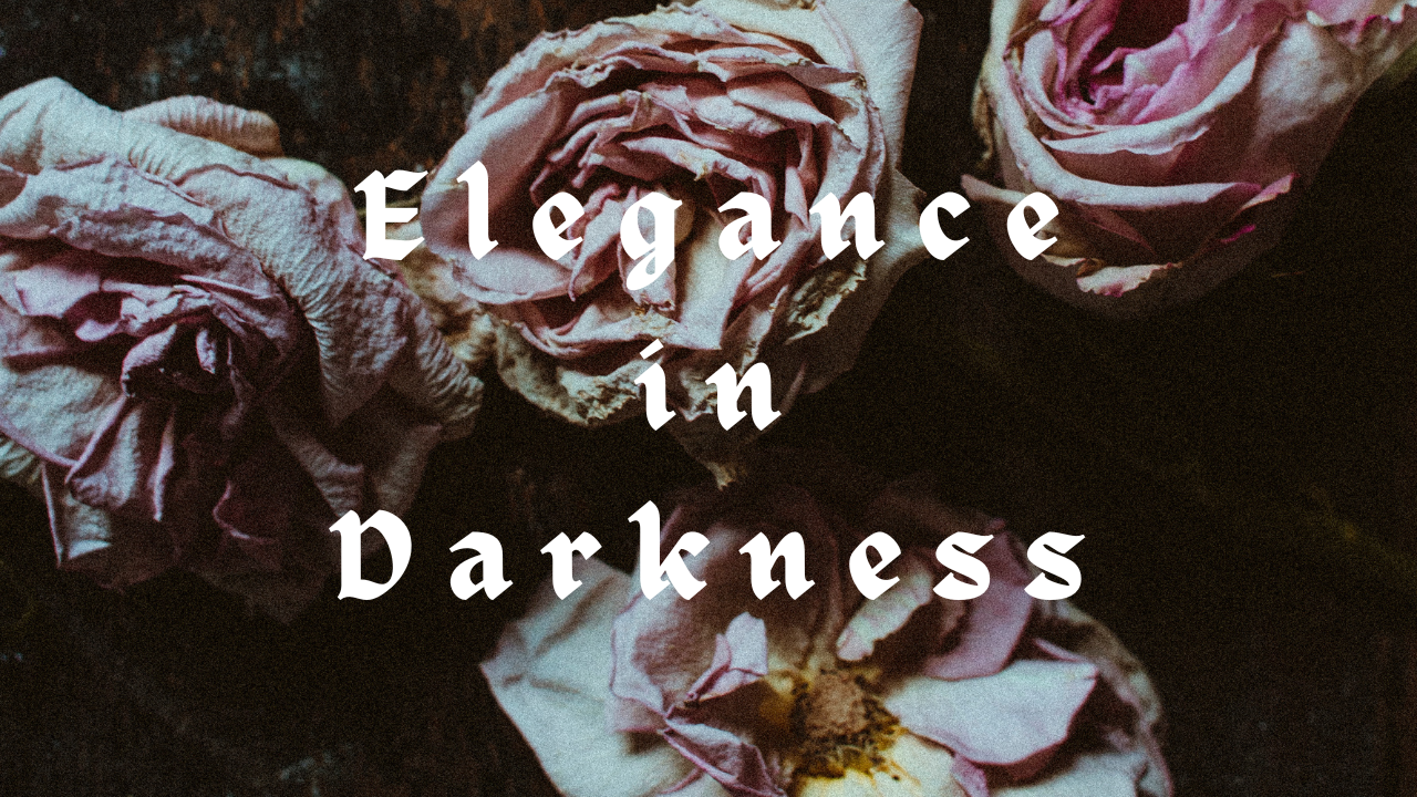 Elegance in Darkness