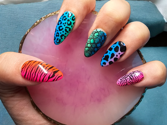Rainbow Safari Press On Nails