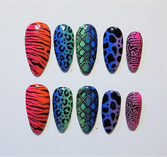 Rainbow Safari Press On Nails