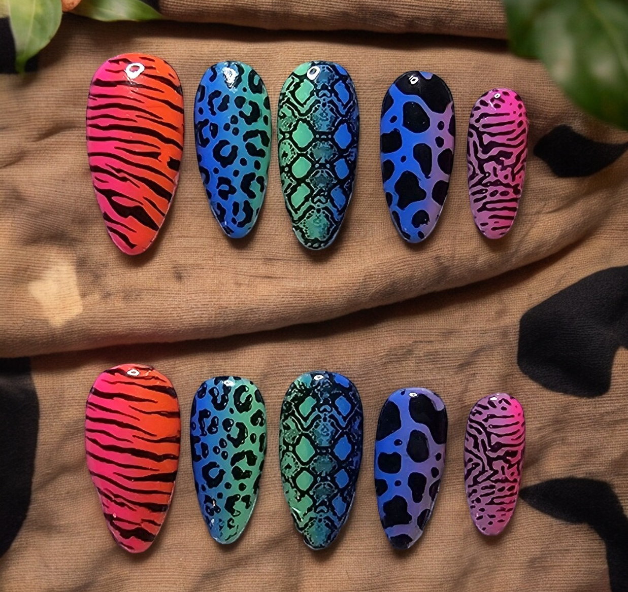 Rainbow Safari Press On Nails
